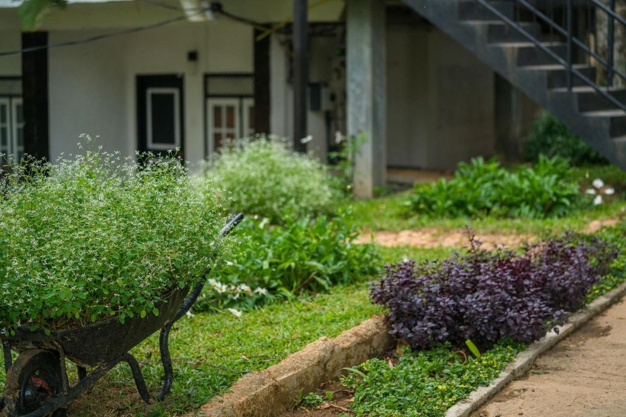 Ella Forest Paradise Hotel Zewnętrze zdjęcie